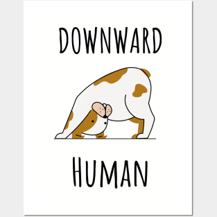 Downward Human Posters and Art